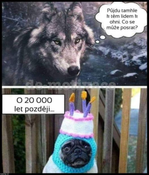 Čo sa môže posrať?